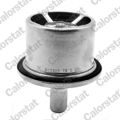 THS19099.87 VERNET Coolant Thermostat