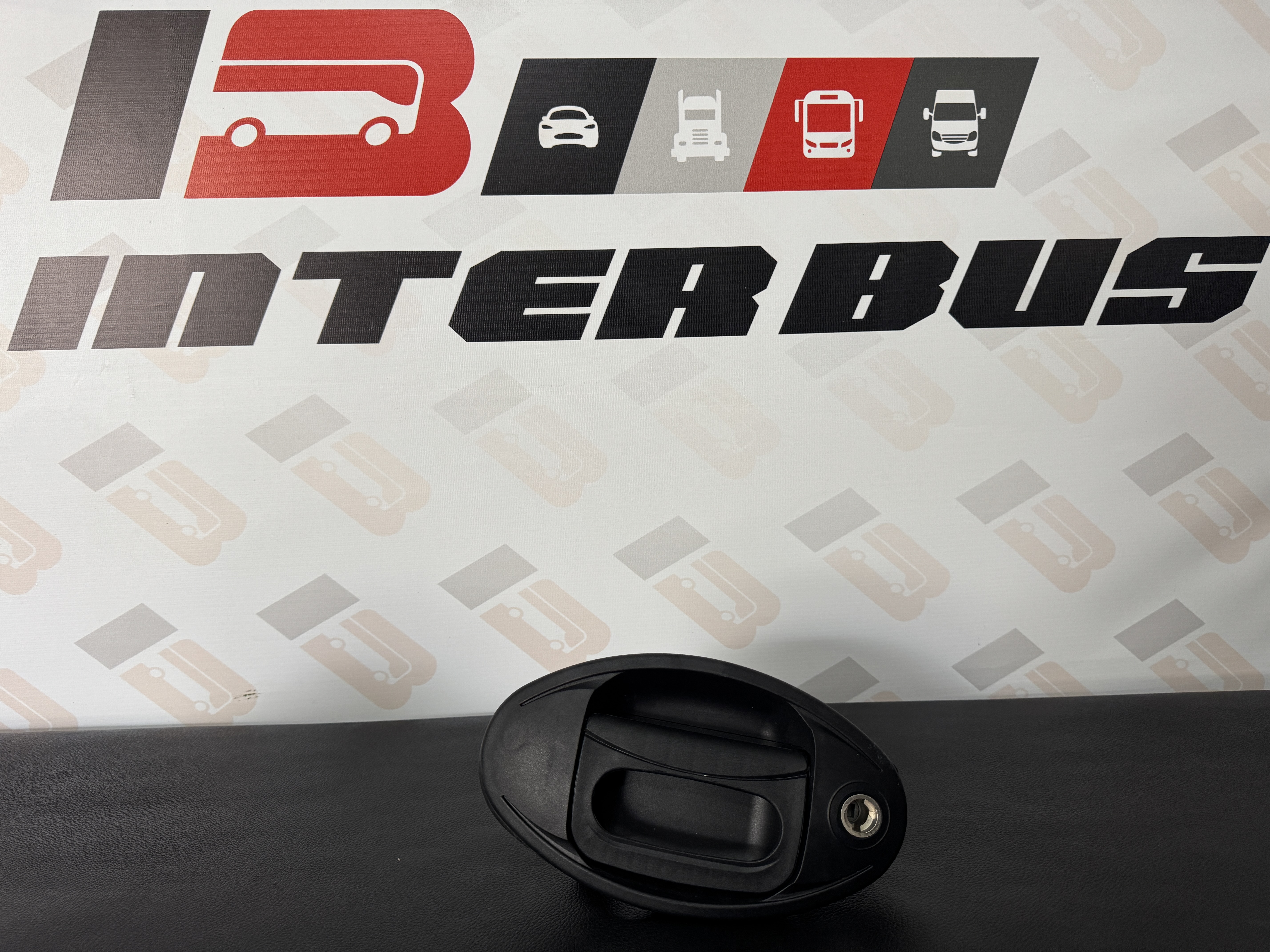10963817 VAN HOOL Baggage Door Handle Without Key