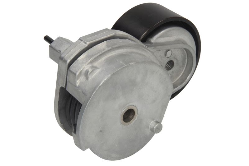 APV2813 Întinzător curea poli-V DAYCO